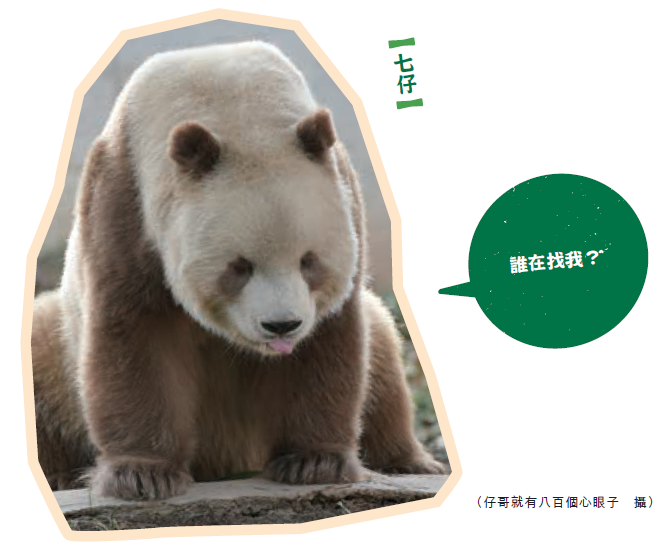 圖片_20260827142649