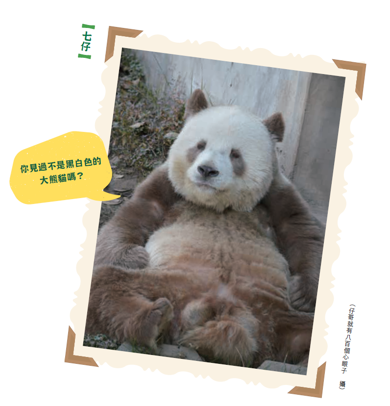 圖片_20260827142657